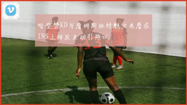 哈登赞KD与詹姆斯独特魅力老詹在INS上转发互动引热议