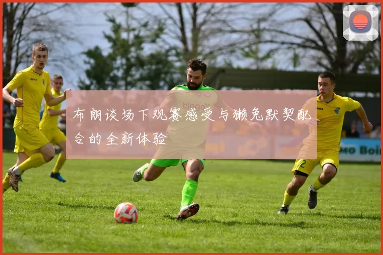 布朗谈场下观赛感受与獭兔默契配合的全新体验